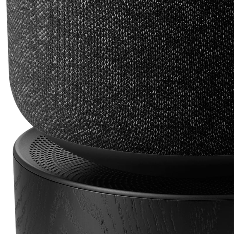 Колонки Bluetooth Bang & Olufsen Beosound Balance, Black oak - фото #5, Technodom.kz