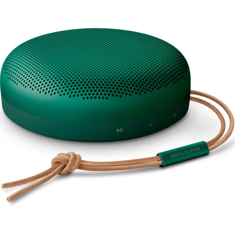 Bluetooth B&O BeoSound A1 2nd Gen колонкасы, Green - фото #0, Technodom.kz