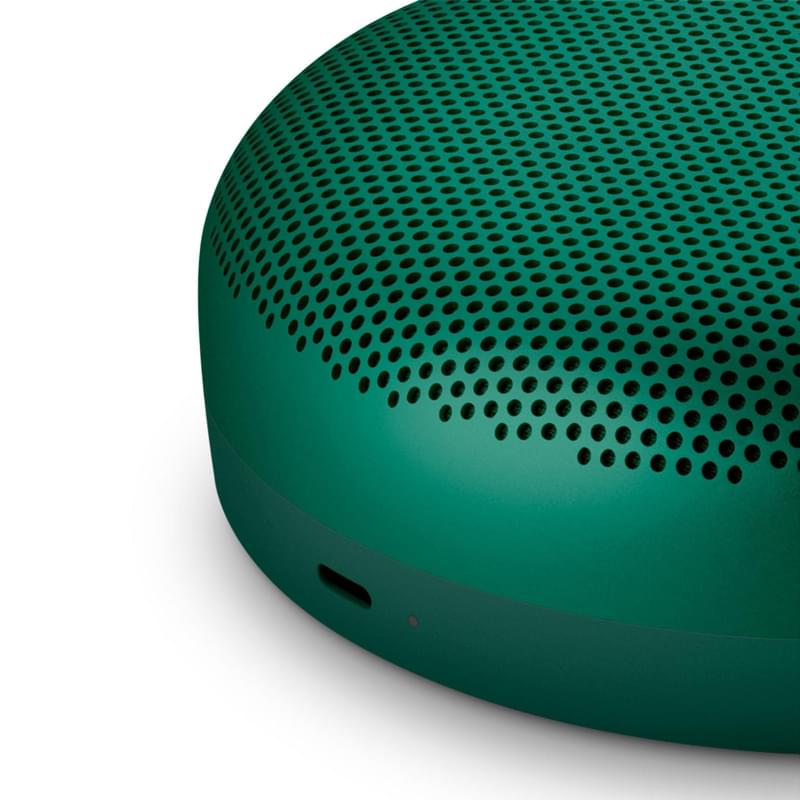 Колонки Bluetooth Bang & Olufsen BeoSound A1 2nd Gen, Green - фото #4, Technodom.kz