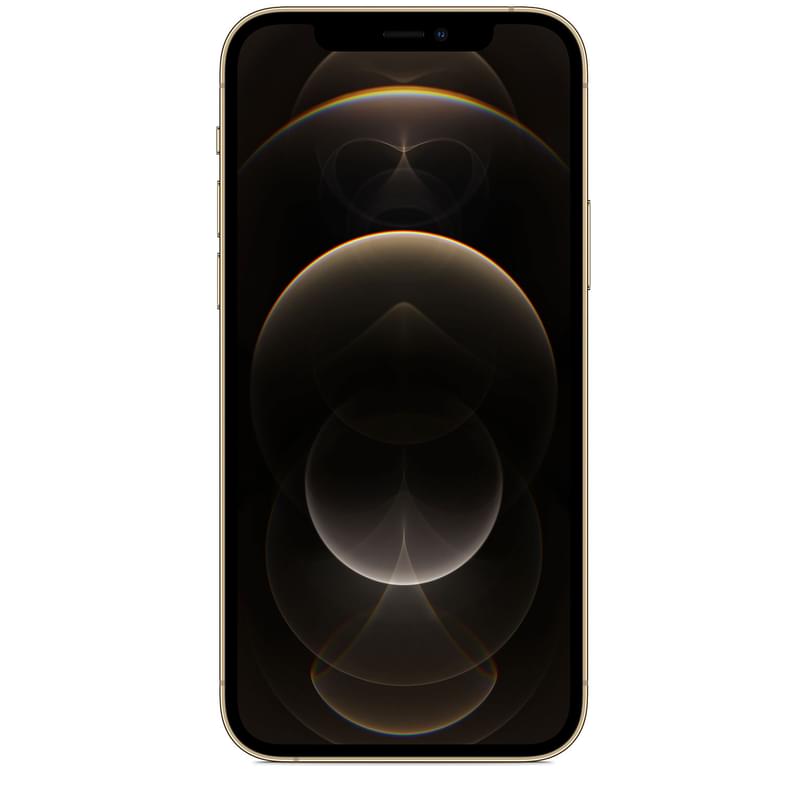 Смартфон  Apple iPhone 12 Pro 6/256GB Gold - фото #1, Technodom.kz