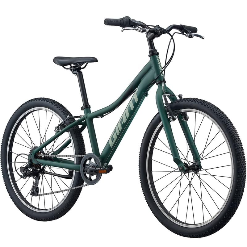 Велосипед Giant XtC Jr 24 Lite - 2021 (one size, trekking green) - фото #1, Technodom.kz Велосипед Giant XtC Jr 24 Lite - 2021 (one size, trekking green) - фото #1, Technodom.kz