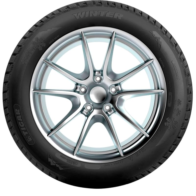 Зимние шины Tigar Winter 265/65 R17 116H - фото #2, Technodom.kz
