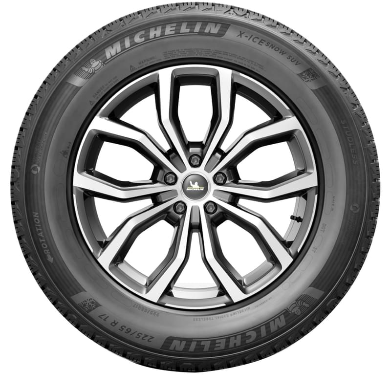 Зимние шины Michelin X-ICE SNOW 205/55 R17 95T - фото #2, Technodom.kz