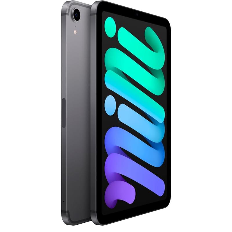Планшет Apple iPad Mini 2021 64GB WiFi + Cellular Space Grey (MK893RK/A) - фото #2, Technodom.kz