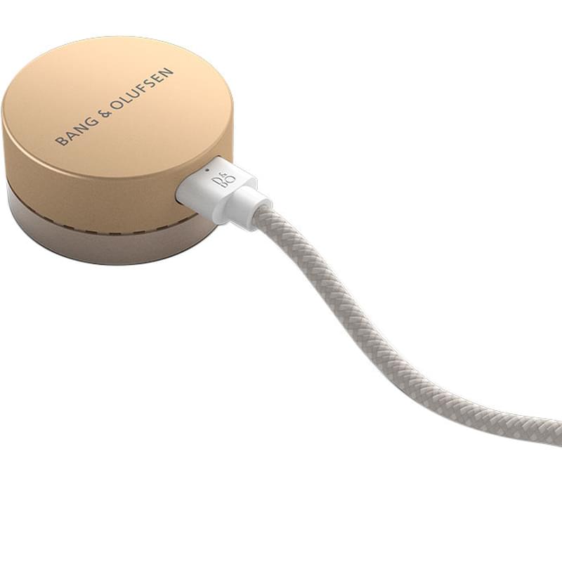 Аудиосистема Bang & Olufsen BeoSound Level Gold Tone Alu/Light Oak - фото #5, Technodom.kz