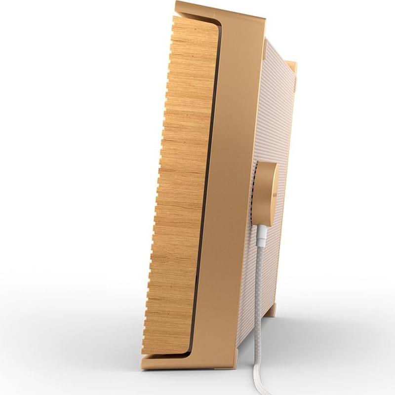 Аудиосистема Bang & Olufsen BeoSound Level Gold Tone Alu/Light Oak - фото #6, Technodom.kz