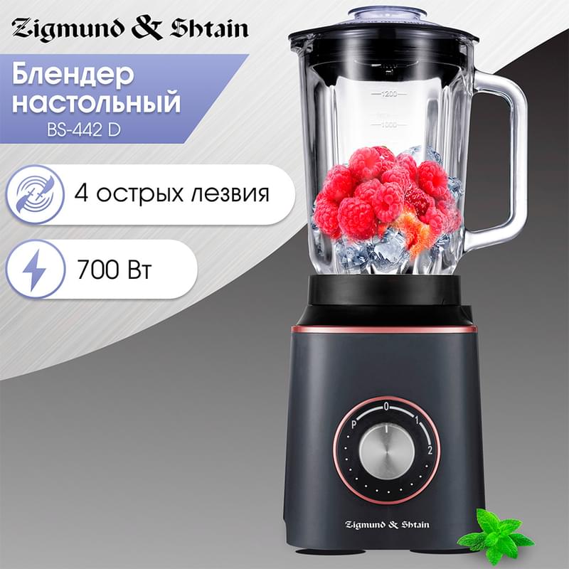 Блендер стационарный Zigmund&Shtain BS-442 D - фото #1, Technodom.kz