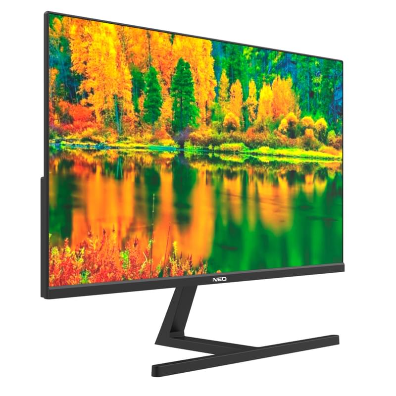24'' Neo O24FIW10NB Мониторы 1920×1080 16:9 IPS 100ГЦ (HDMI+VGA) Black - фото #1, Technodom.kz