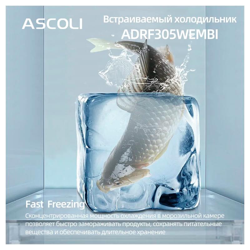 Встраиваемый холодильник ASCOLI ADRF305WEMBI - фото #21, Technodom.kz