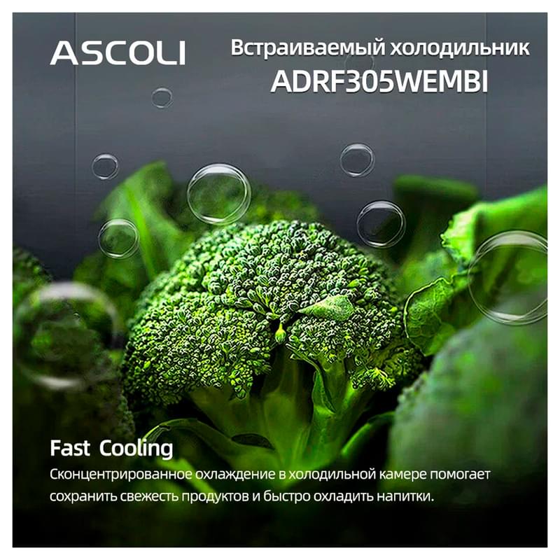 Кіріктірілген тоңазытқыш ASCOLI ADRF305WEMBI - фото #21, Technodom.kz