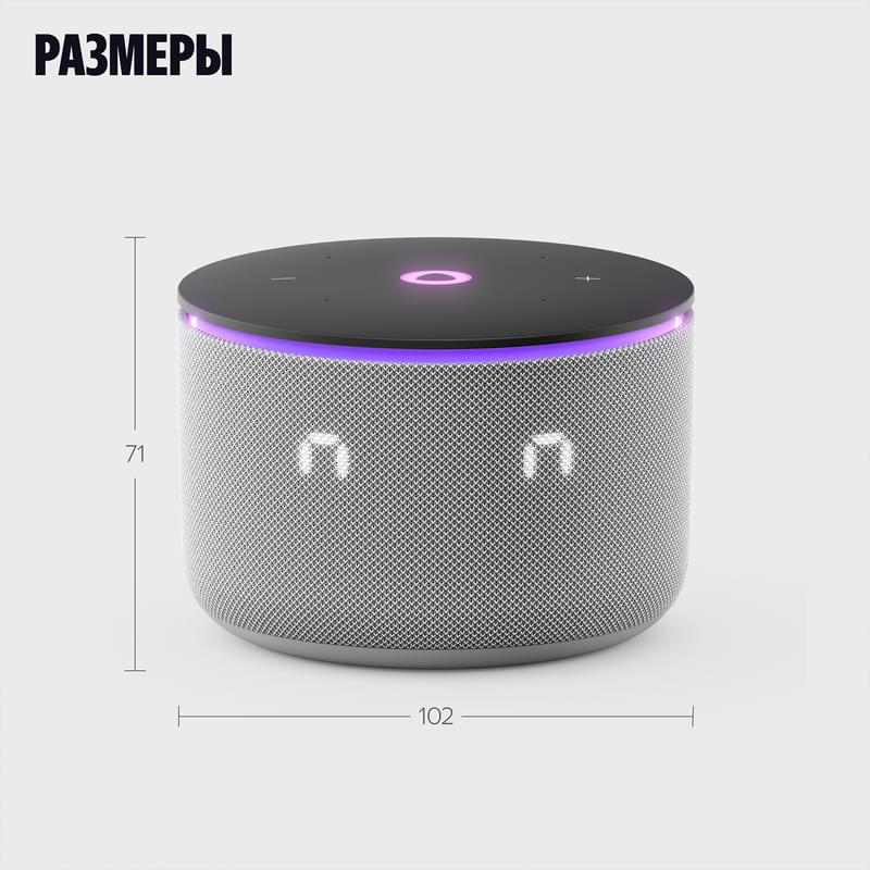 Умная колонка Яндекс Станция Мини 3 Про, Серый (YNDX-00059) - фото #13, Technodom.kz