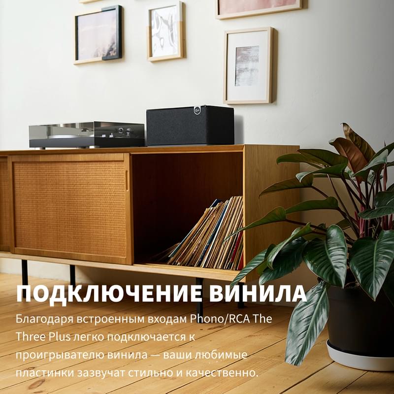 Премиум баған Klipsch The Three Plus Walnut (1071968) - фото #3, Technodom.kz Премиум баған Klipsch The Three Plus Walnut (1071968) - фото #3, Technodom.kz