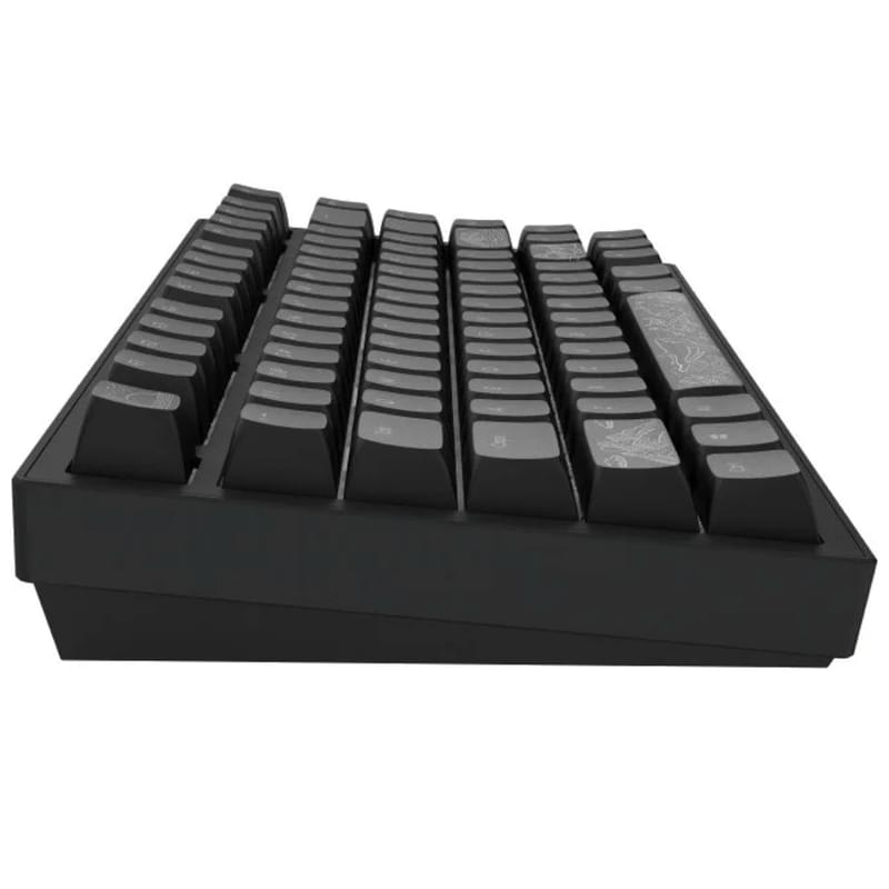 Игровая клавиатура проводная Dark Project ALU81A Terra Nostra, Black (DPKB_NOSTRA_81_ANSI_BLACK_UA) - фото #5, Technodom.kz