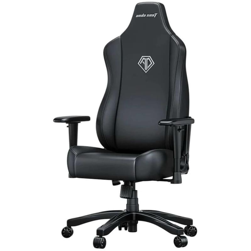 Игровое компьютерное кресло AndaSeat Novis, Black (AD23-L-01-B-PV) - фото #1, Technodom.kz Игровое компьютерное кресло AndaSeat Novis, Black (AD23-L-01-B-PV) - фото #1, Technodom.kz