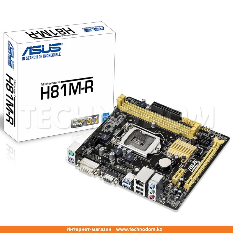 Материнская плата Asus H81M-R LGA1150 2DDR3 PCI-E 1x16 1x1 (DVI-D+VGA) mATX - фото #1, Technodom.kz