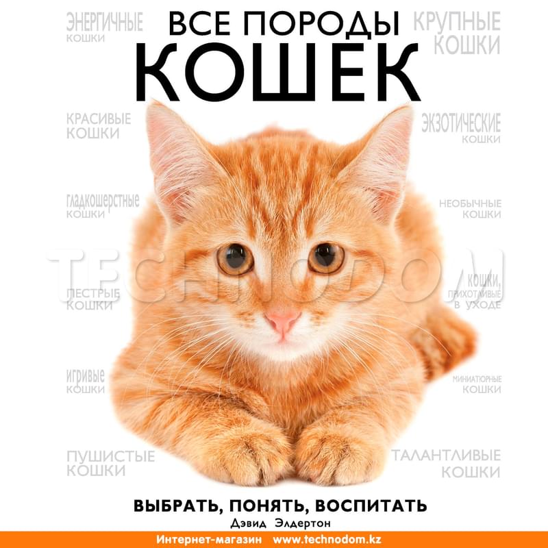 Все породы кошек - фото #0, Technodom.kz