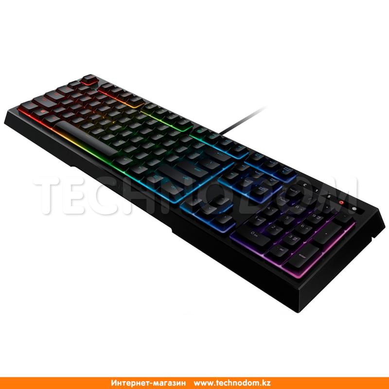 Клавиатура игровая проводная USB Razer Ornata Chroma, RZ03-02040700-R3R1 - фото #6, Technodom.kz