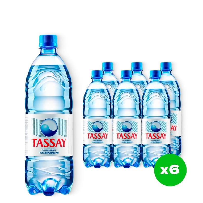 Упаковка воды Tassay Питьевая негазированная 1 л 6 шт - фото #0, Technodom.kz