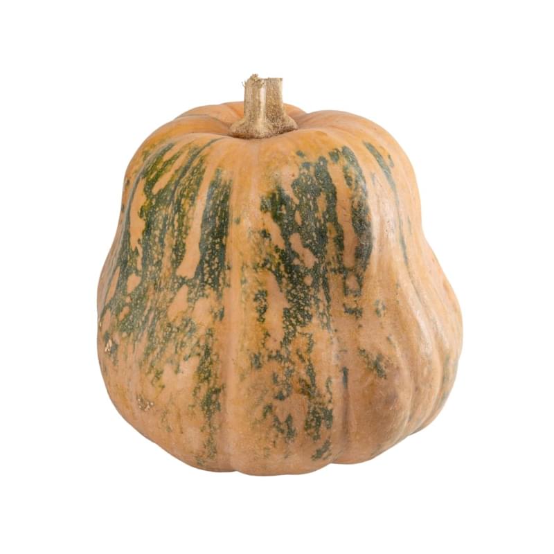 Тыква Казахстан кг - фото #0, Technodom.kz Тыква Казахстан кг - фото #0, Technodom.kz