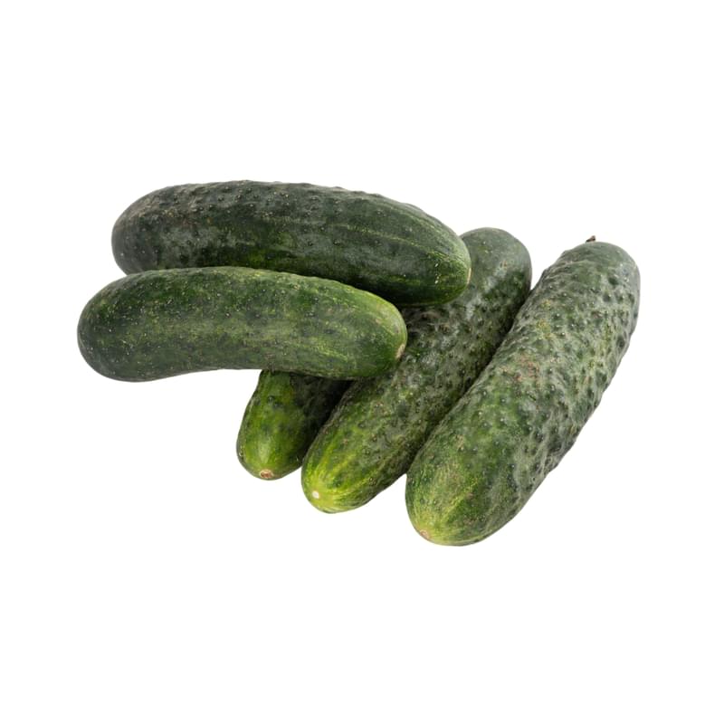Огурцы Грунтовые кг - фото #0, Technodom.kz Огурцы Грунтовые кг - фото #0, Technodom.kz
