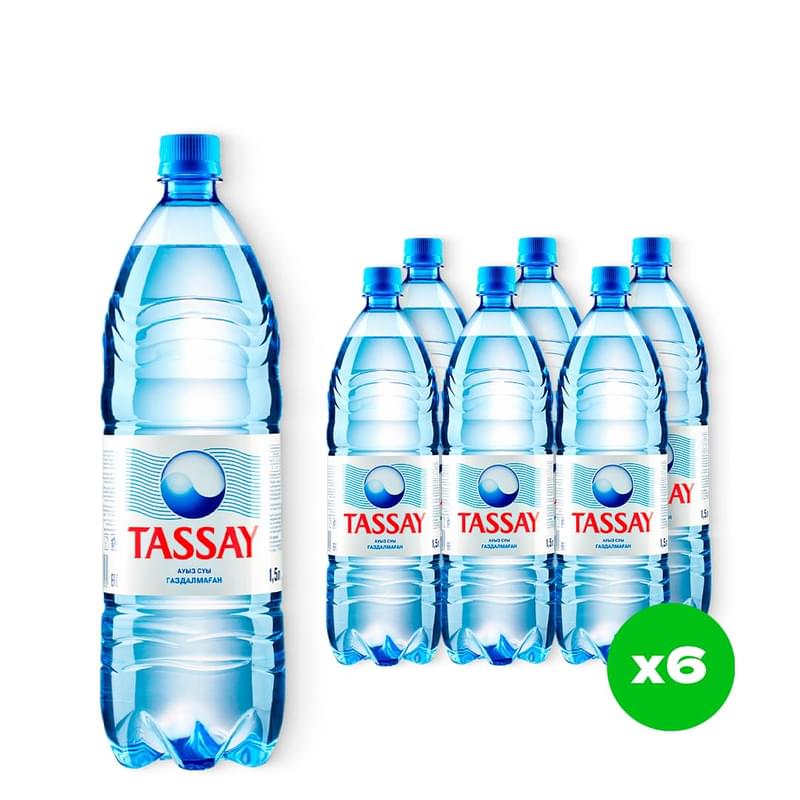 Упаковка воды Tassay Питьевая негазированная 1.5 л 6 шт - фото #0, Technodom.kz