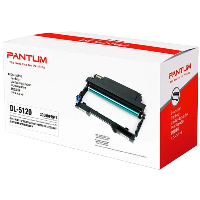 Картридж Pantum DL-5120 Black (для BP5100/BM5100) - фото #0, Technodom.kz