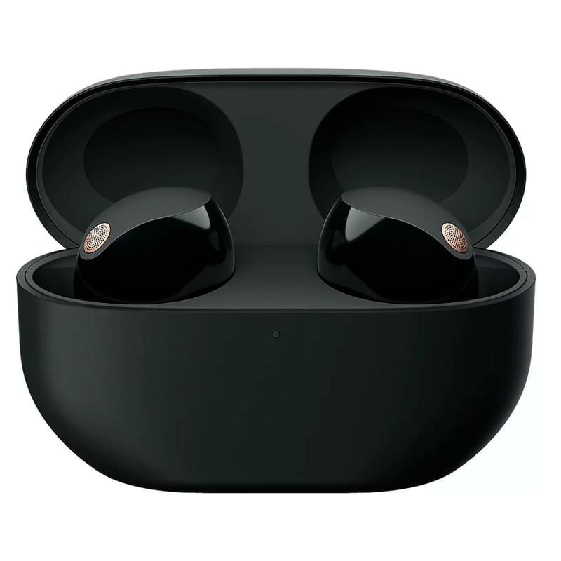 Қыстырмалы құлаққап Sony TWS Bluetooth WF-1000XM5B.E, Black - фото #3, Technodom.kz