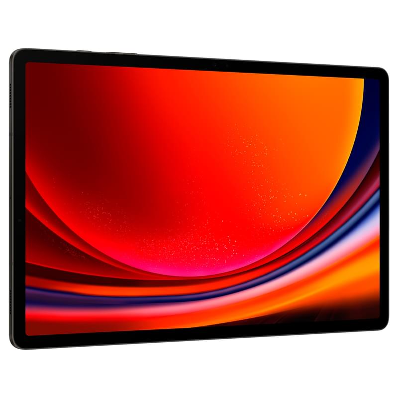 Планшет Samsung Galaxy Tab S9+ 12,4 256GB WiFi + 5G Graphite (SM-X816BZAASKZ) - фото #2, Technodom.kz