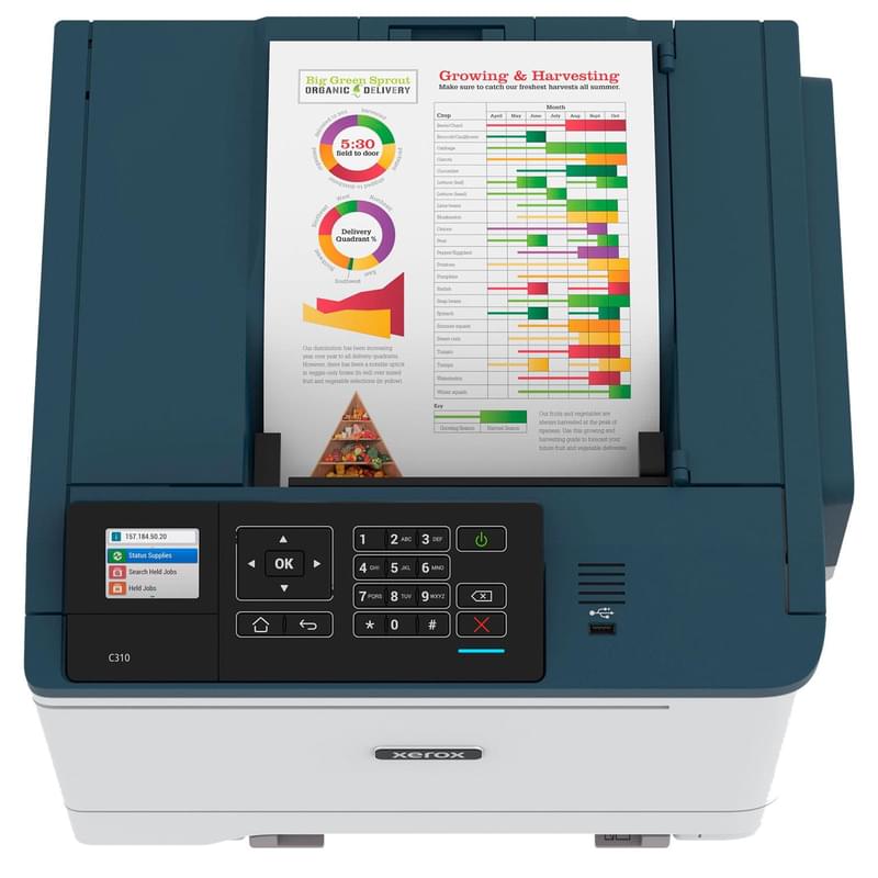 Принтер лазерный цветной Xerox C310DNI A4-N-W - фото #1, Technodom.kz