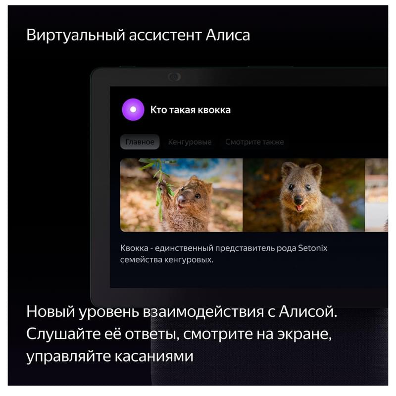 Умная колонка Яндекс Станция Дуо Макс с Zigbee, Зелёная (YNDX-00055GRN) - фото #14, Technodom.kz